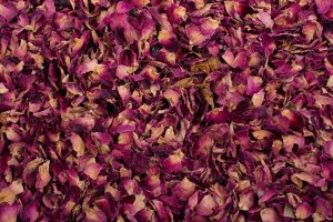 Rosas Deshidratadas